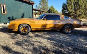 Chevrolet-camaro-z28-1979-brown-2