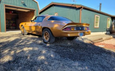 Chevrolet-camaro-z28-1979-brown-3