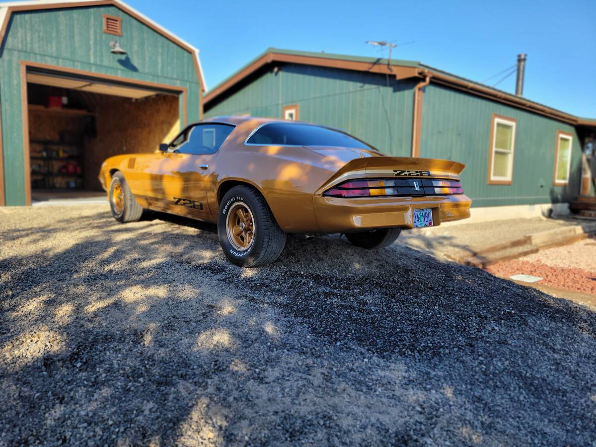 Chevrolet-camaro-z28-1979-brown-3