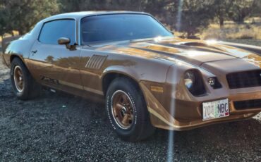 Chevrolet-camaro-z28-1979-brown