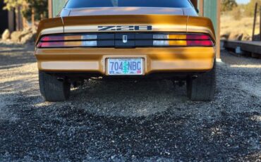 Chevrolet-camaro-z28-1979-brown-4