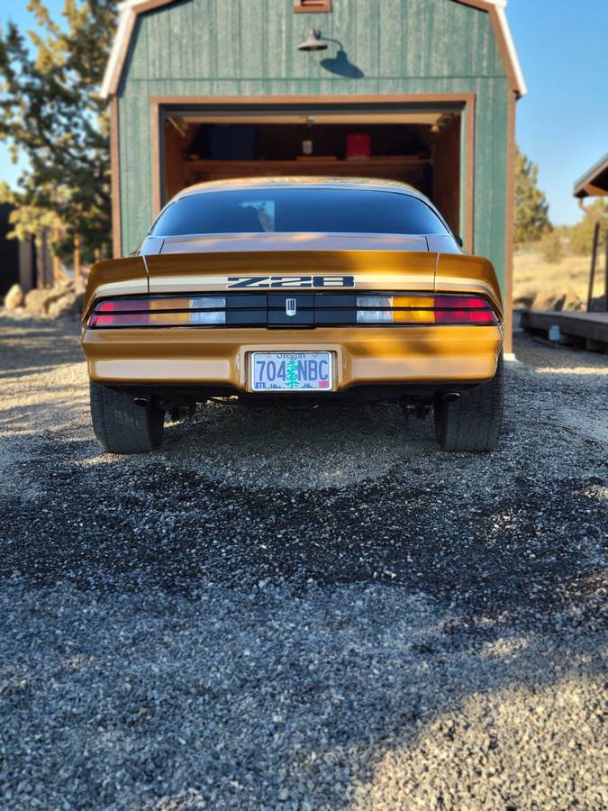 Chevrolet-camaro-z28-1979-brown-4