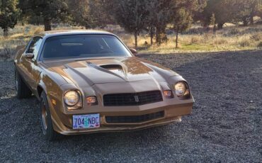 Chevrolet-camaro-z28-1979-brown-5