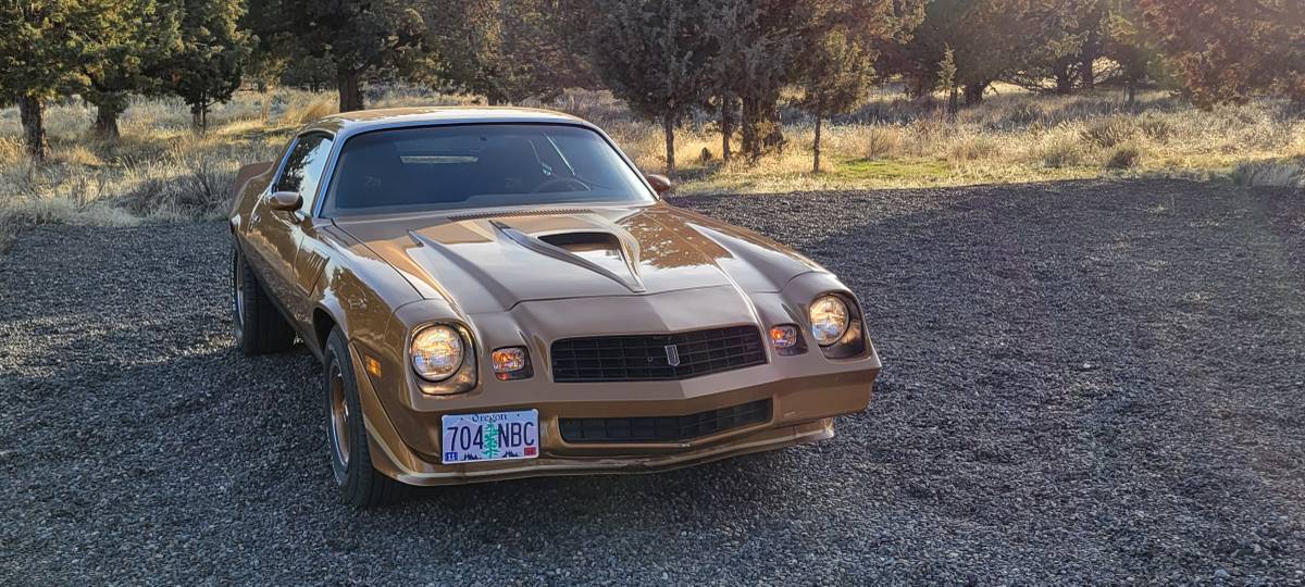 Chevrolet-camaro-z28-1979-brown-5
