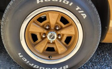 Chevrolet-camaro-z28-1979-brown-6