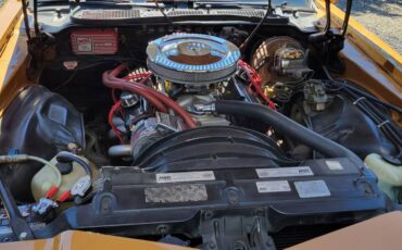 Chevrolet-camaro-z28-1979-brown-8