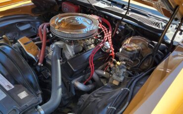 Chevrolet-camaro-z28-1979-brown-9