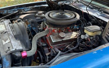 Chevrolet-camaro-z28-1981-blue-5