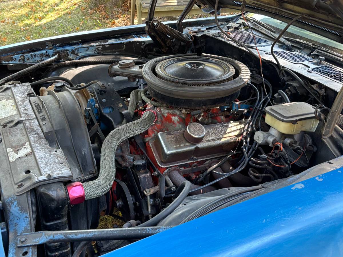 Chevrolet-camaro-z28-1981-blue-5