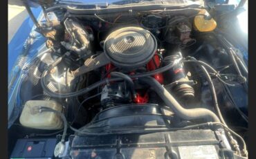 Chevrolet-caprice-1973-blue-8
