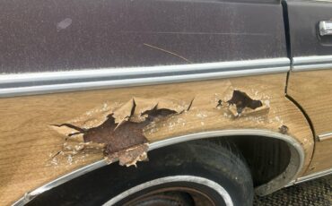 Chevrolet-caprice-classic-1989-brown-3
