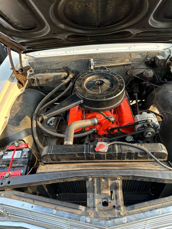 Chevrolet-chevelle-1965-white-14