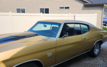 Chevrolet-chevelle-1971-brown-1