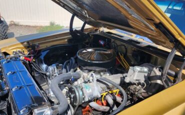 Chevrolet-chevelle-1971-brown-3
