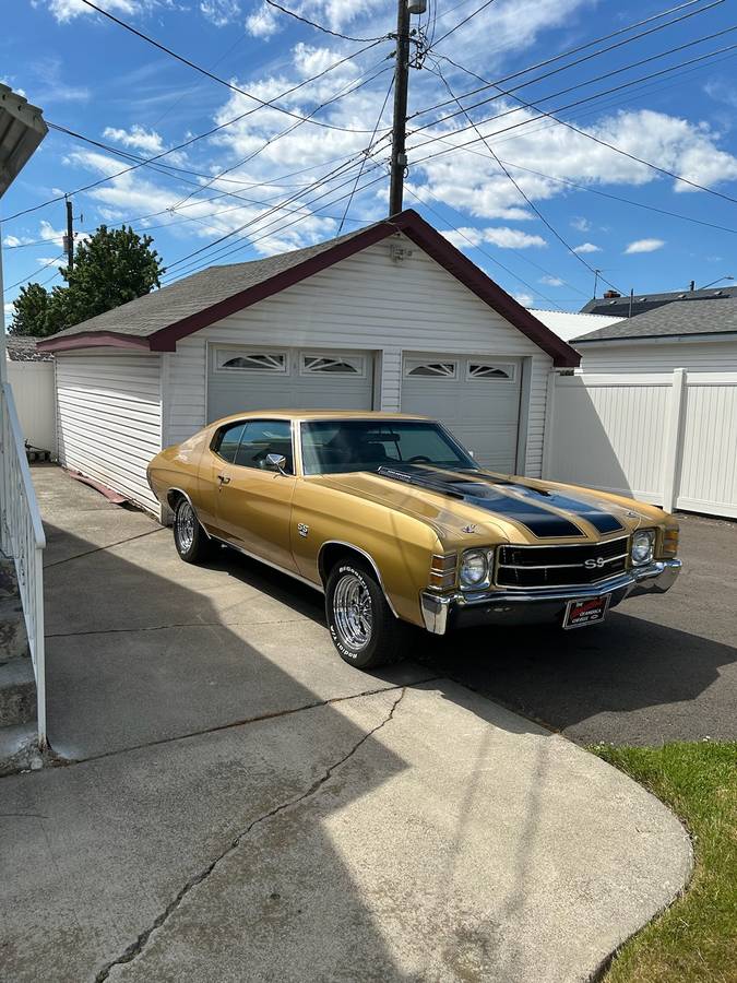 Chevrolet-chevelle-1971-brown-5