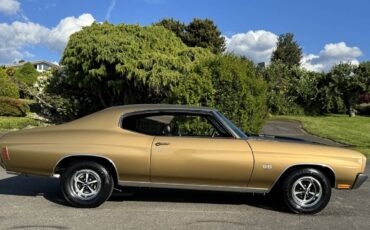 Chevrolet-chevelle-ls5-1970-custom-2