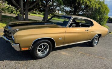 Chevrolet-chevelle-ls5-1970-custom-5