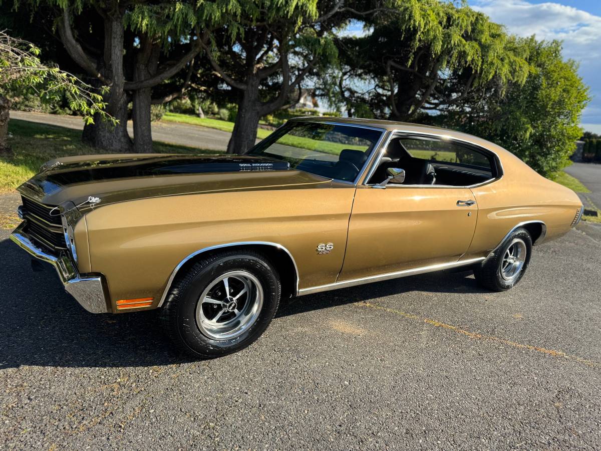 Chevrolet-chevelle-ls5-1970-custom-5