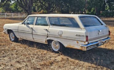 Chevrolet-chevelle-wagon-1965-white-10