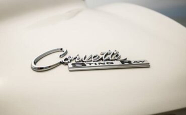 Chevrolet-chevy-corevette-stingray-1965-custom-20
