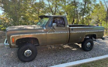 Chevrolet-cheyenne-1975-1