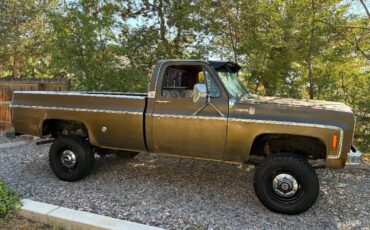 Chevrolet-cheyenne-1975-13