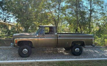 Chevrolet-cheyenne-1975-2