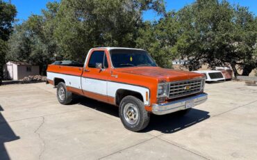 Chevrolet-cheyenne-1975-2