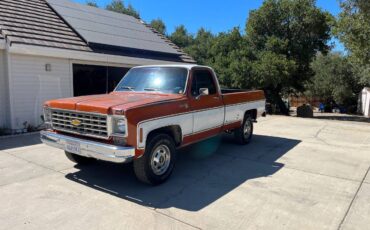 Chevrolet-cheyenne-1975-3