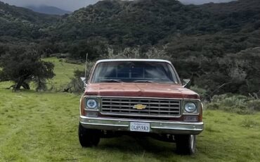 Chevrolet-cheyenne-1975