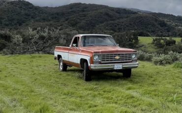 Chevrolet-cheyenne-1975-4