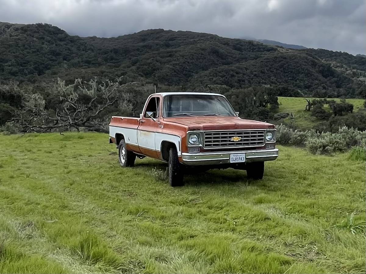 Chevrolet-cheyenne-1975-4