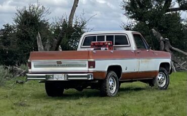 Chevrolet-cheyenne-1975-5