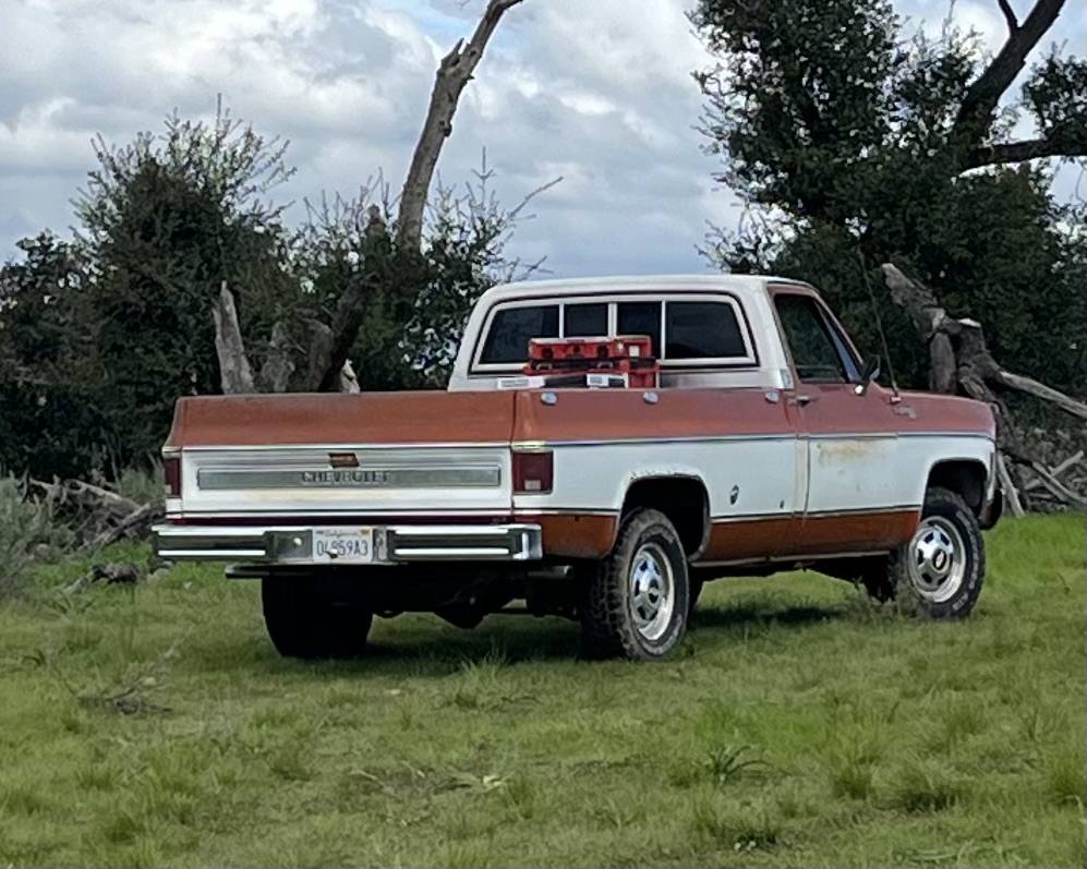 Chevrolet-cheyenne-1975-5