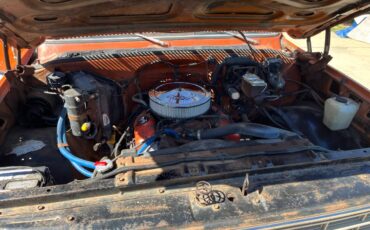 Chevrolet-cheyenne-1975-8