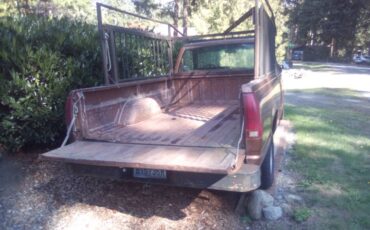 Chevrolet-cheyenne-1989-brown-1