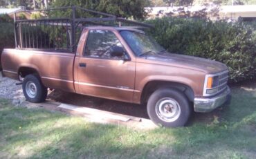 Chevrolet-cheyenne-1989-brown-2