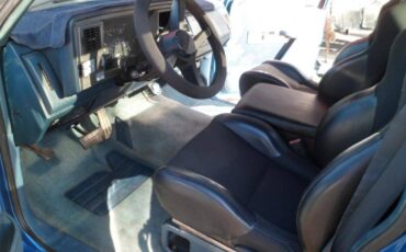 Chevrolet-ck1500-1994-blue-6