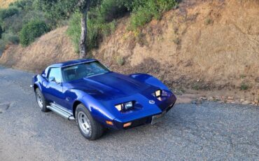 Chevrolet-corvette-1973-12