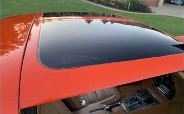 Chevrolet-corvette-1975-64