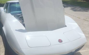 Chevrolet-corvette-1975-white-11
