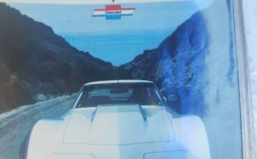 Chevrolet-corvette-1975-white