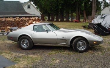 Chevrolet-corvette-1976-4