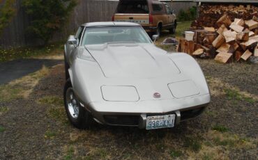 Chevrolet-corvette-1976-5