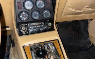 Chevrolet-corvette-1976-orange-5