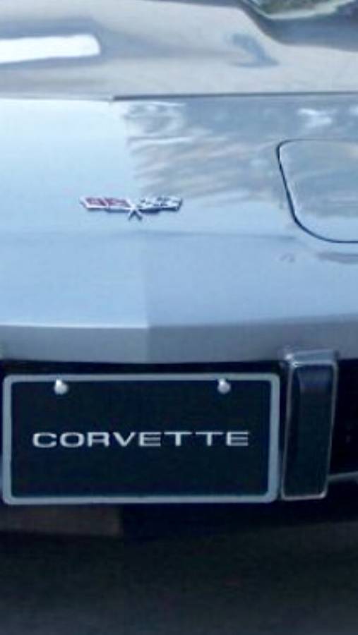 Chevrolet-corvette-1977-silver-2