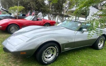 Chevrolet-corvette-1978-silver-12
