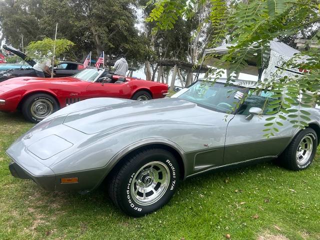 Chevrolet-corvette-1978-silver-12