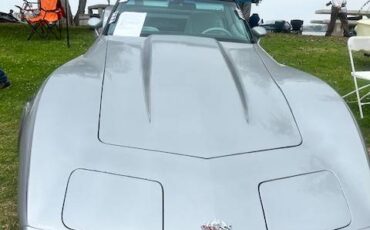 Chevrolet-corvette-1978-silver-13