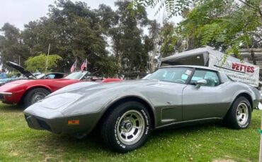 Chevrolet-corvette-1978-silver-14